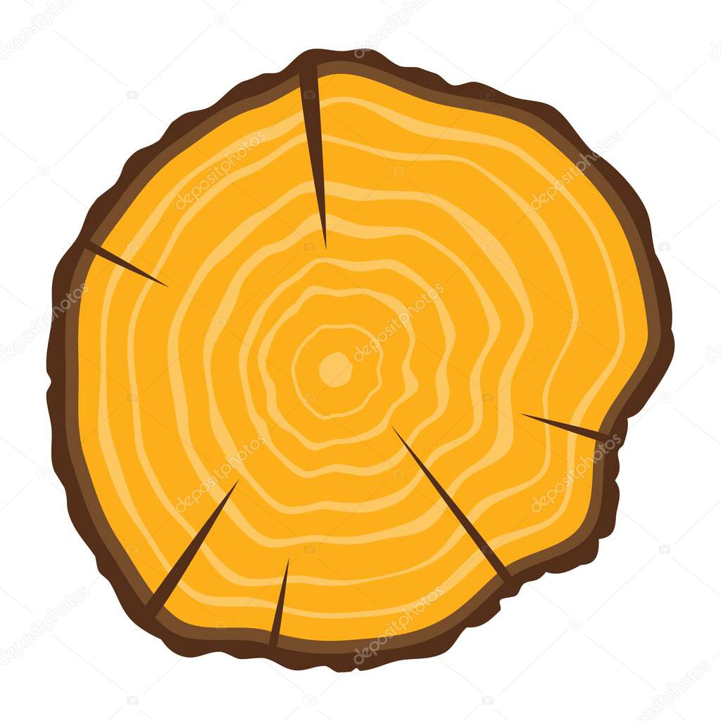 Tree growth rings icon