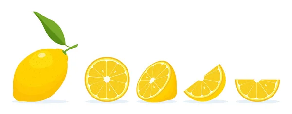 Frische Zitronenscheiben — Stockvektor