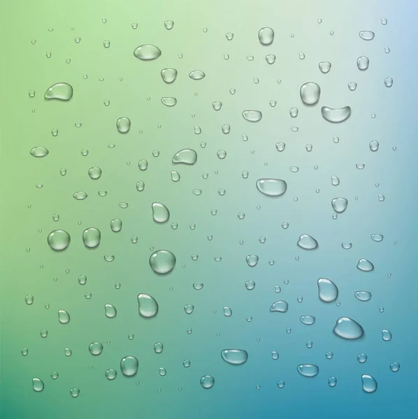 Realistic water drops — Stock Vector