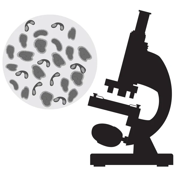 Siyah tıbbi mikroskop ve bakteri. — Stok Vektör