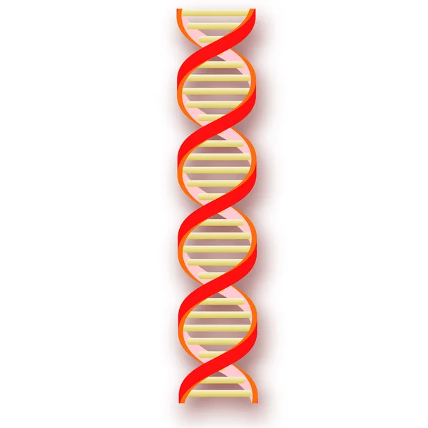 DNA iplikleri. — Stok Vektör