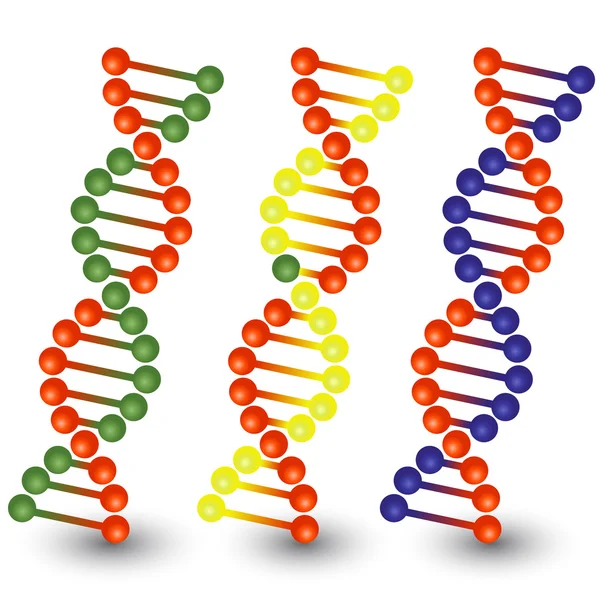 Varrat nélküli DNS-szálak. — Stock Vector