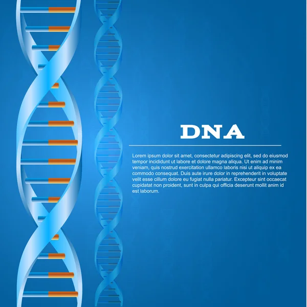 DNA achtergrond — Stockvector