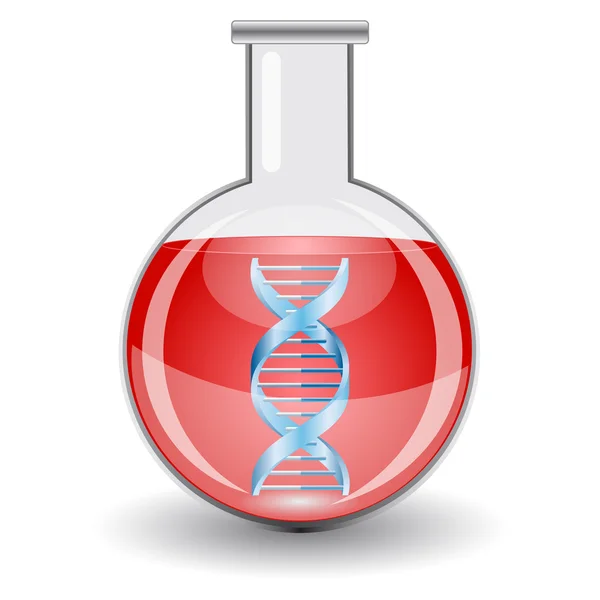 Şişe kırmızı sıvı ve Dna işareti. — Stok Vektör