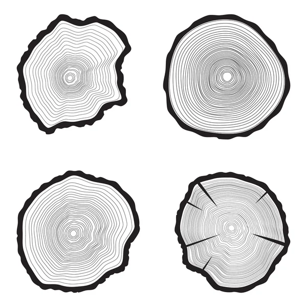 Fa gyűrű háttér beállítása Éves fa — Stock Vector