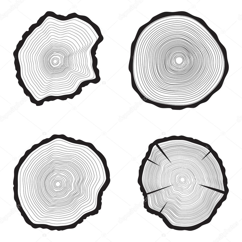 Set Tree rings background. Annual tree