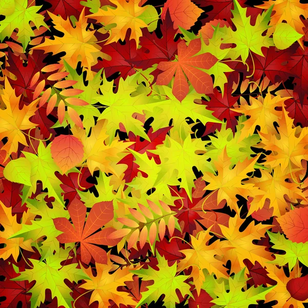 Podzimní pozadí — Stockový vektor