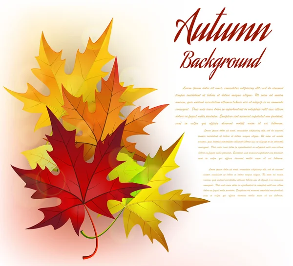 Herbstrahmen mit Blättern — Stockvektor