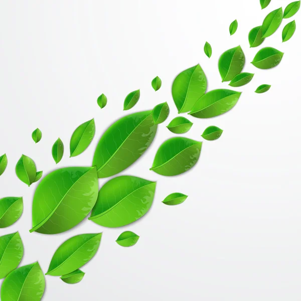 Gröna blad på en vit bakgrund — Stock vektor