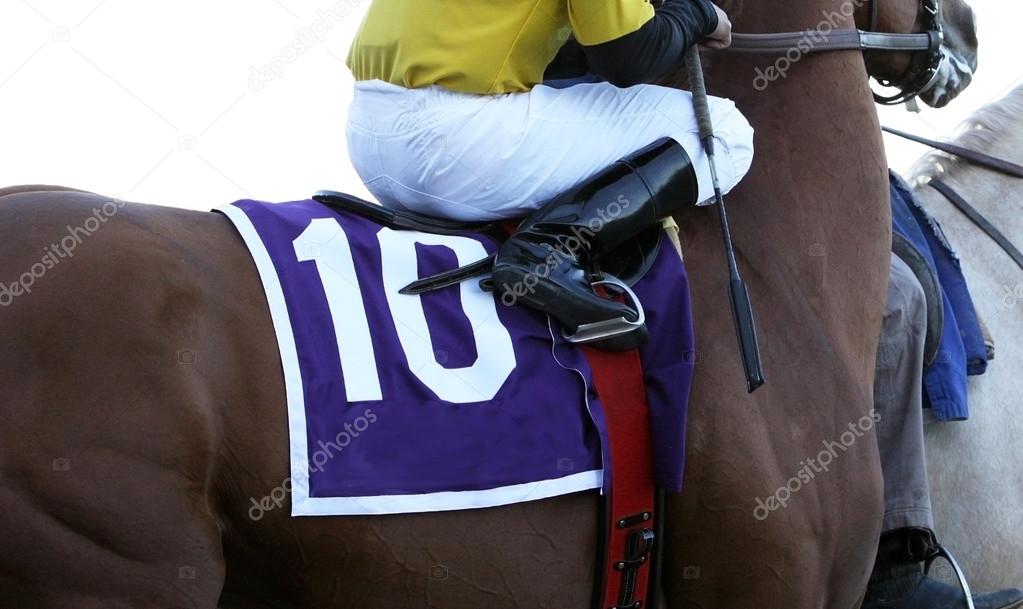 Close Up Jockey on Racehorse
