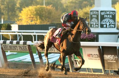tonalist milyon dolarlık jockey club gold Kupası kazandı