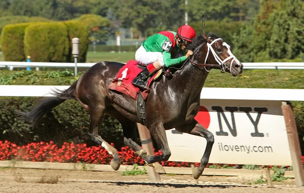 Winning His First Race — Stock Photo, Image