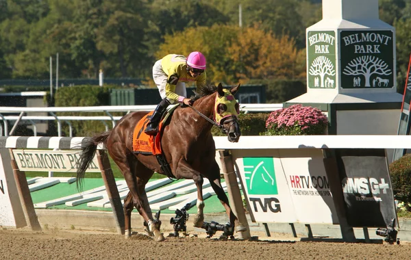 Belle Gallantey gana las apuestas de Beldame — Foto de Stock