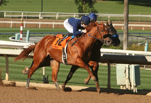 Winning His First Race — Stock Photo, Image