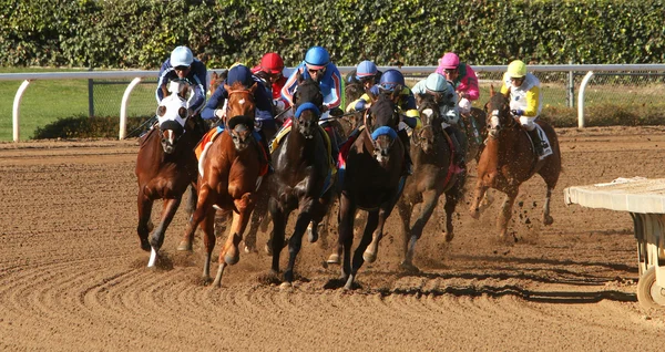 彼の最初のレースに勝つ — ストック写真