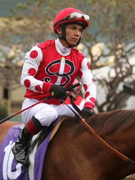 Thoroughbred Jockey Fernando Perez — Stock Photo, Image