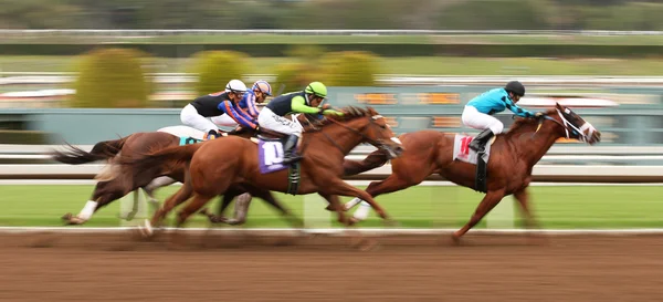 Corrida para sua primeira vitória — Fotografia de Stock