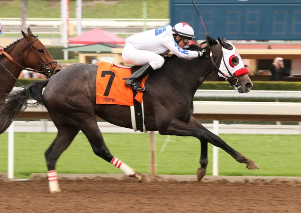 Ganando su primera carrera — Foto de Stock