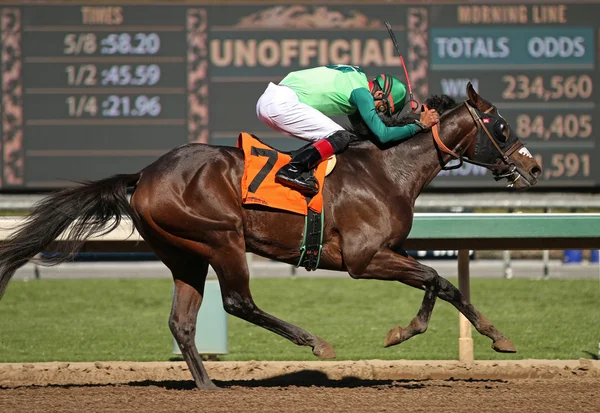 Winning His First Race — Stock Photo, Image