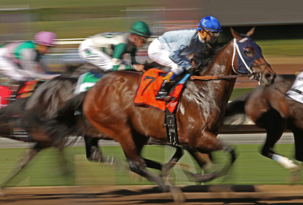 Motion Blur Racing Horses