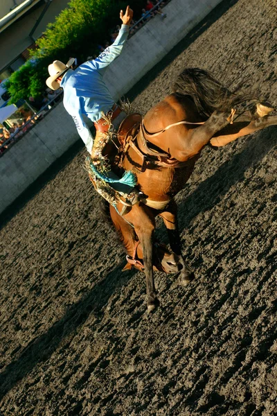 Bronco Rodeo ıkınma