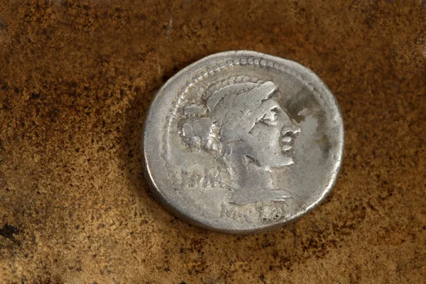 로마는 옛 동전 89 기원전 — 스톡 사진