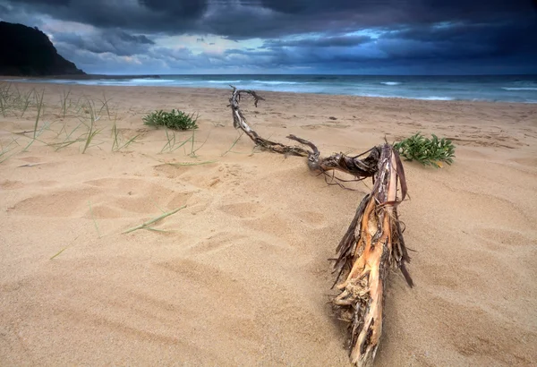 Bouřková mračna nad mořem vybudováním — Stock fotografie