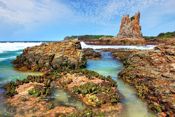 Cathedral Rocks Kiama Downs Australia — Stock Photo, Image