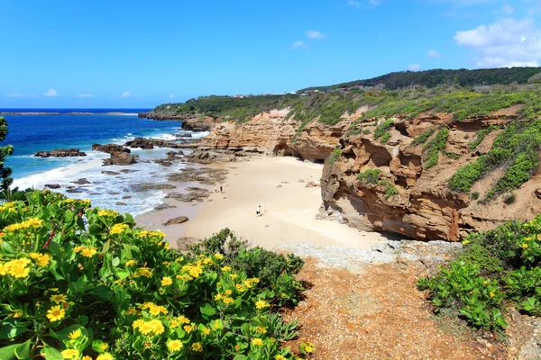 Niektóre z jaskiń w jaskiniach plaży Nsw Austraia — Zdjęcie stockowe