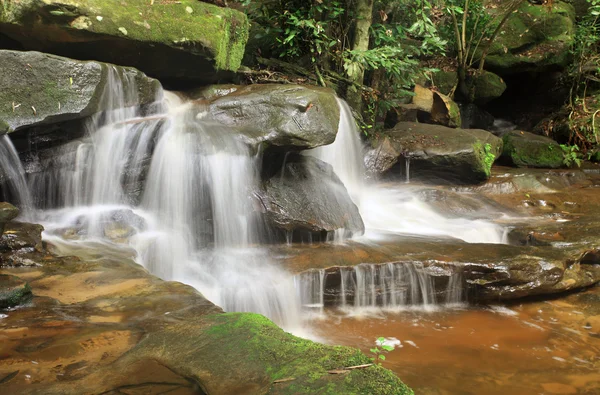 Nature Cascade - Somersby Falls Australie — Photo