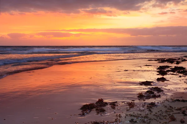 Sunrise South Beach вхід — стокове фото