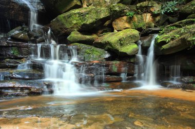 Şelale Somersby Falls Avustralya