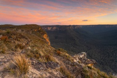 Avustralya 'daki Blue Mountains tepelerinden gün batımı manzarası. Şiddetli rüzgarlar yüzünden burada sadece çimenler ve küçük çalılar yetişir.