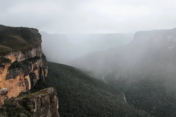 Sis ve bulut kayalıklardan geçip Grose Vadisi 'ne, Mavi Dağlara iniyor.