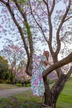 Bir kadın, bir jakaranda ağacının dalında oturur ve onun güzel mor çiçeklerine hayran kalır.