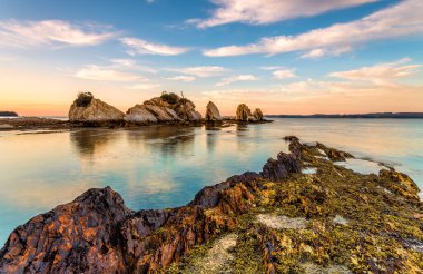 Kıyı kaya oluşumları ve alçak gelgitle açığa çıkan Neptunes incileri Avustralya 'da ön planda deniz üzümü olarak adlandırılır.