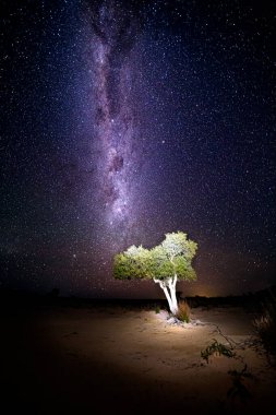 Avustralya 'nın taşra çöllerinde bir milyar yıldızla dolu bir gökyüzünün altında, Samanyolu evreninin galaktik çekirdeği.