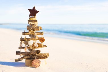 Yazın kumsaldaki kırsal bir ağaçtan sarkan çeşitli deniz kabukları..