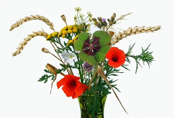 Trozos de trébol en un jarrón de flores —  Fotos de Stock