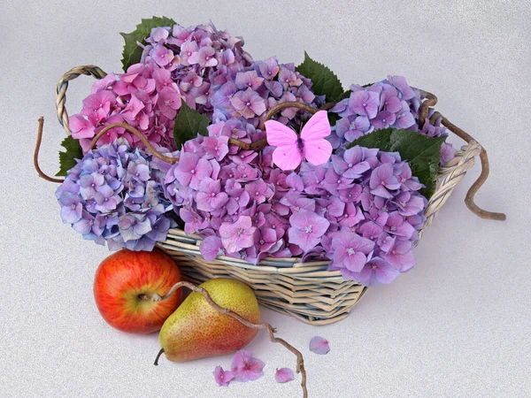 Flores Coloridas Flor Com Textur — Fotografia de Stock