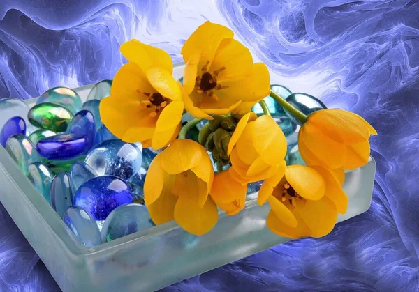 Кольорові Квіти Квітка Текстом — стокове фото