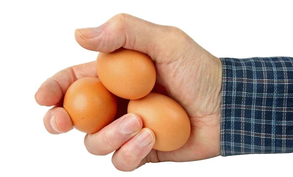 Яйца Руке Изолированы — стоковое фото
