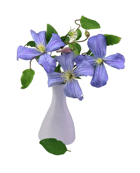 Clematis Blumen Στο Βάζο — Φωτογραφία Αρχείου