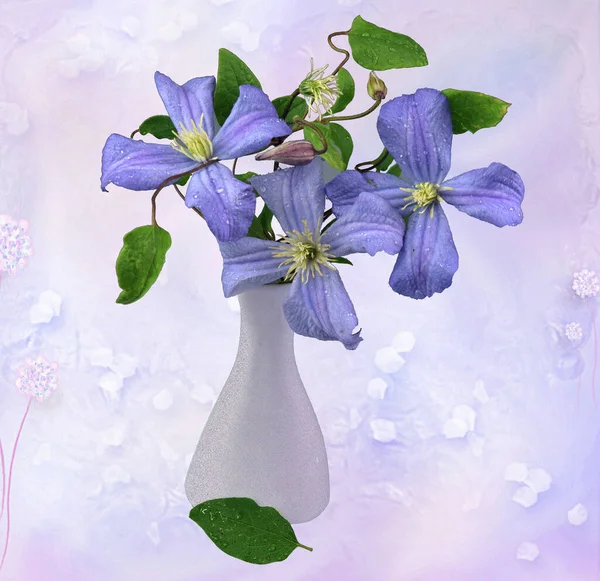 Clematis Blumen Der Vase — Fotografia de Stock
