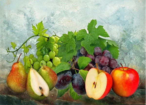 Färska frukter vackert inredda — Stockfoto