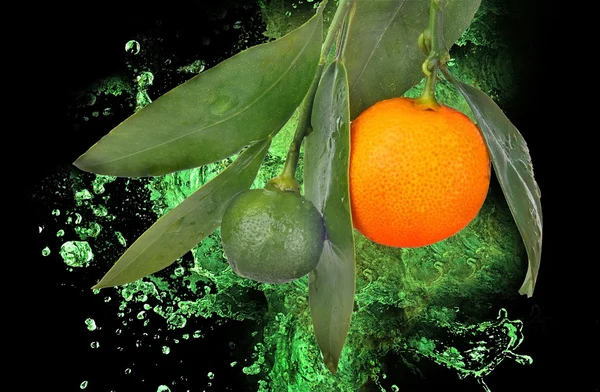 Oranges with texture — Stock Photo, Image