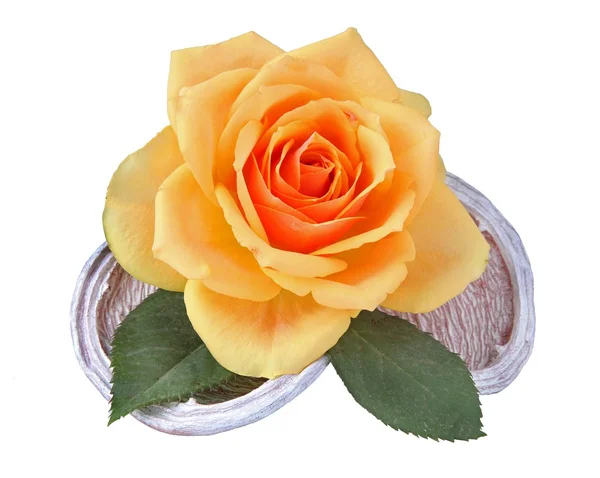 Rosas con textura Imagen De Stock