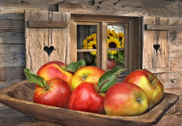 Hermosas manzanas en otoño —  Fotos de Stock