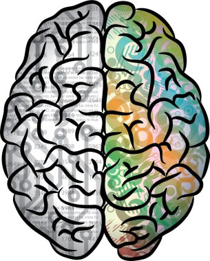 Human brain color clipart