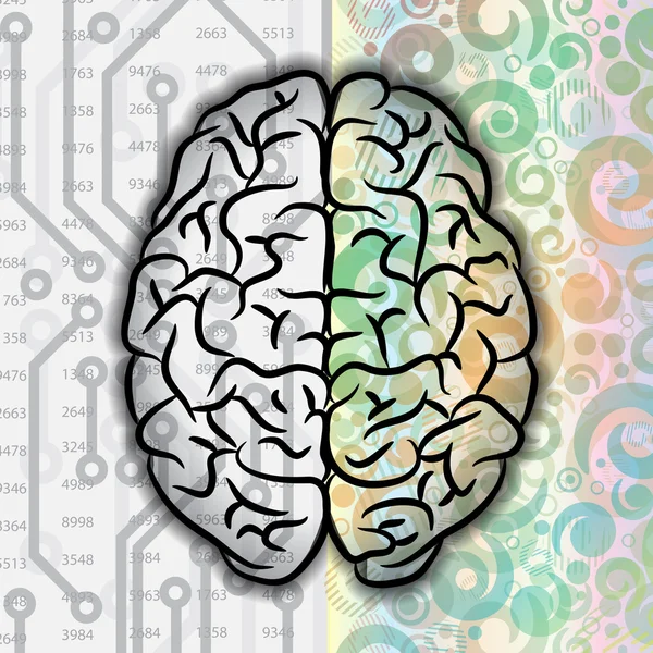 Cerebro humano — Archivo Imágenes Vectoriales